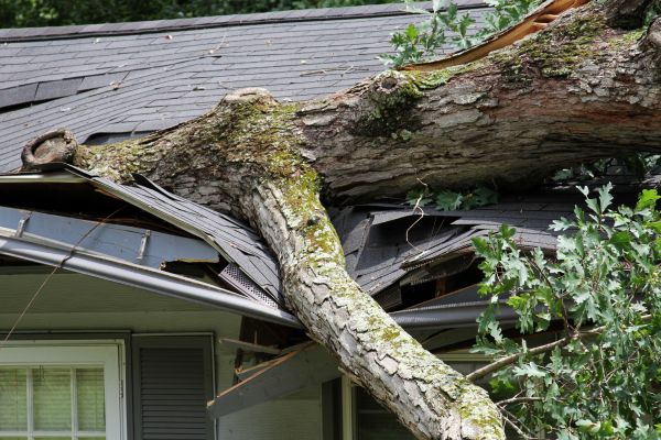Cost of Storm Remediation in Wilmington
