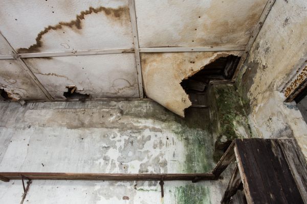 Cost of Water Damage Service in Wilmington