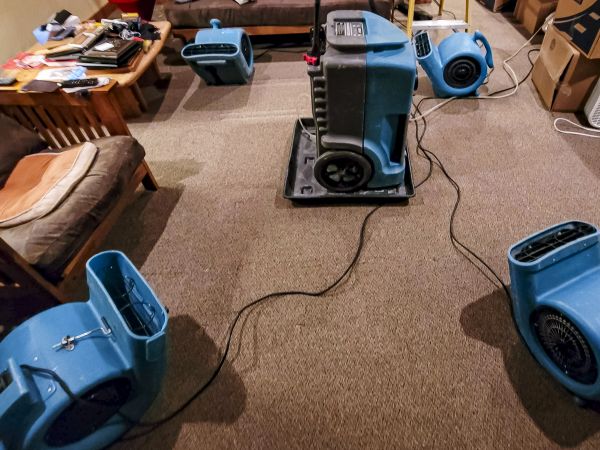 Cost of Flood Damage Recovery in Wilmington