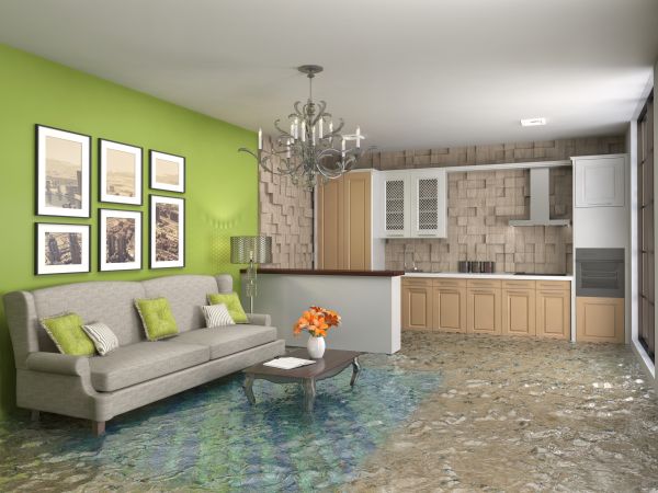 Wet Carpet Drying in Wilmington