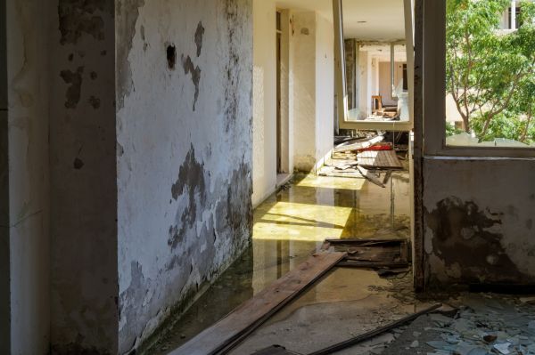 Cost of Water Removal Service in Wilmington