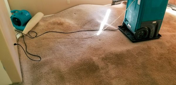 Carpet Water Extraction in Wilmington