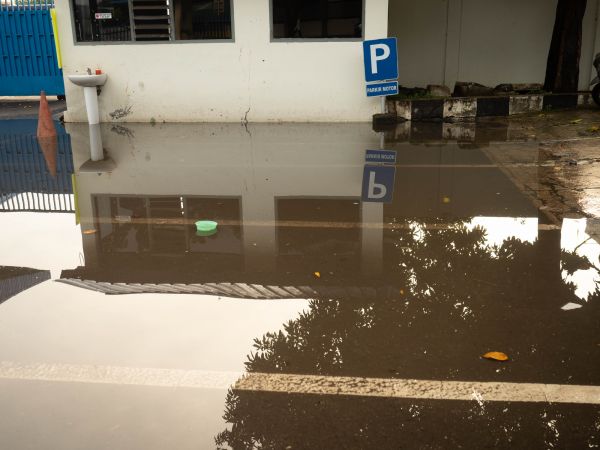 Cost of Storm Damage Repair in Wilmington