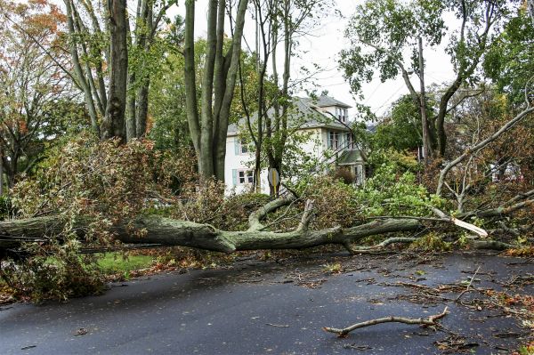 Cost of Tornado Damage Repair in Wilmington