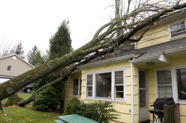 Cost of Hurricane Damage Repair in Wilmington