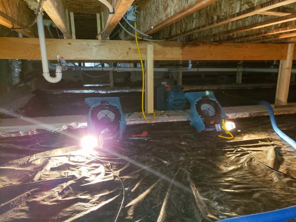 Cost of Crawlspace Water Removal in Wilmington