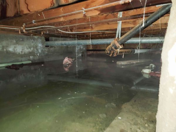 Crawlspace Water Restoration in Wilmington