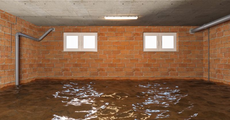 Flooded Basement Cleanup